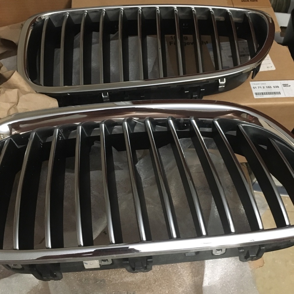 OEM BMW Kidney Grills